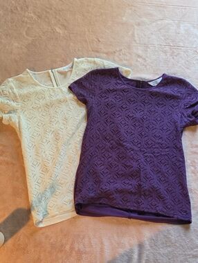 Market & Spruce Short Sleeve Lace Overlay Tops in Purple and Cream